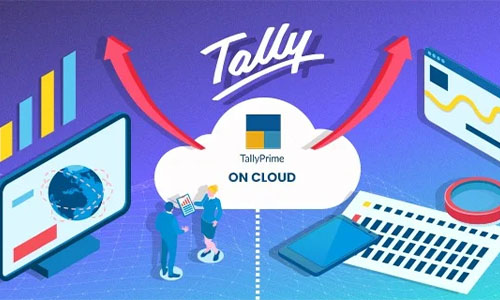 Tally licensing and virtual user solutions